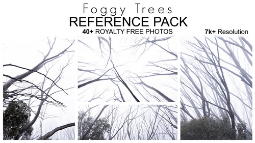 Pose & Reference Pack 800+