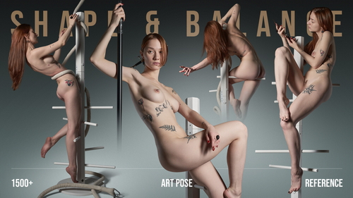 Pose & Reference Pack 800+
