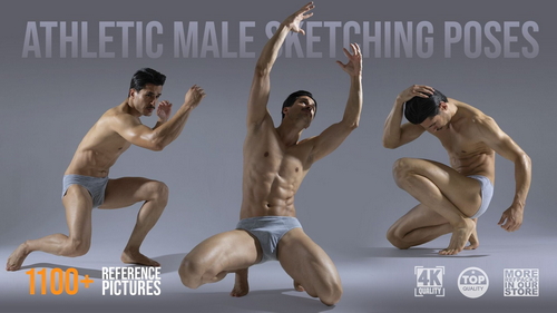 Pose & Reference Pack 800+