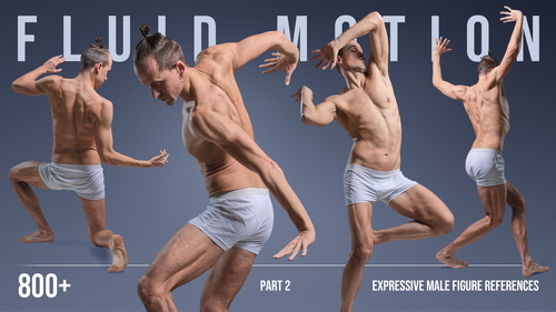 Pose & Reference Pack 800+