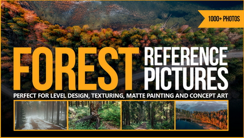 Pose & Reference Pack 800+