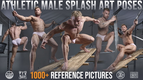 Pose & Reference Pack 800+