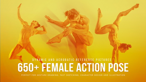 Pose & Reference Pack 800+