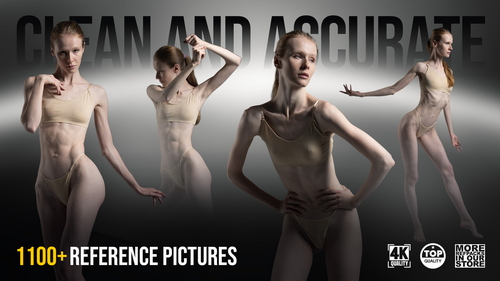 Pose & Reference Pack 800+
