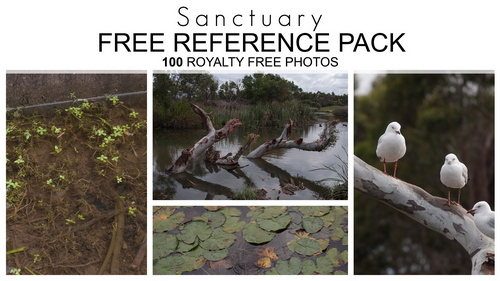 Pose & Reference Pack 800+