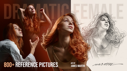 Pose & Reference Pack 800+
