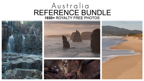 Pose & Reference Pack 800+