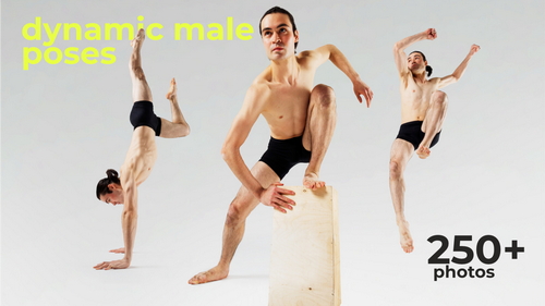 Pose & Reference Pack 800+
