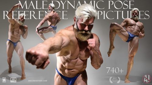 Pose & Reference Pack 800+