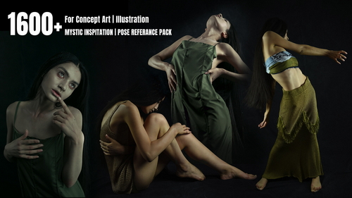 Pose & Reference Pack 800+