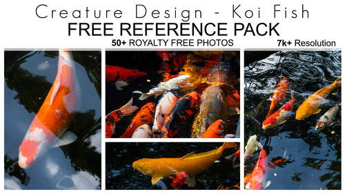 Pose & Reference Pack 800+