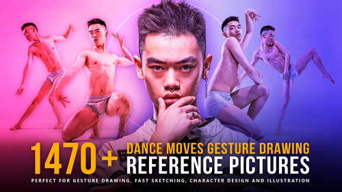Pose & Reference Pack 800+