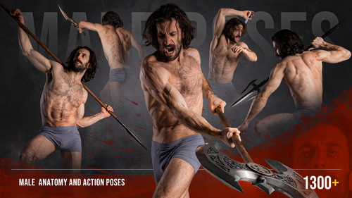 Pose & Reference Pack 800+