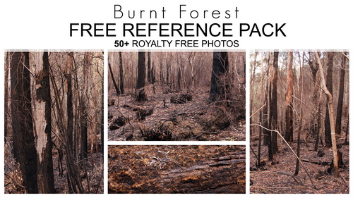 Pose & Reference Pack 800+