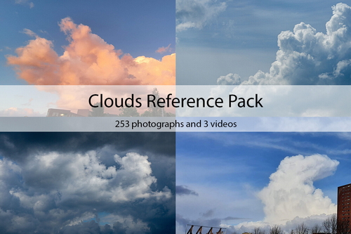 Pose & Reference Pack 800+