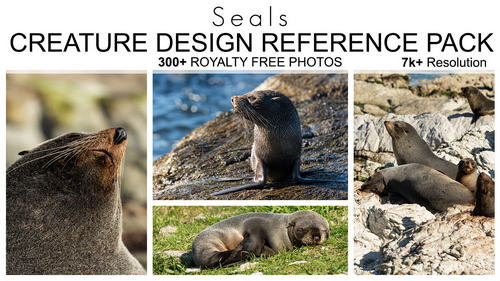 Pose & Reference Pack 800+
