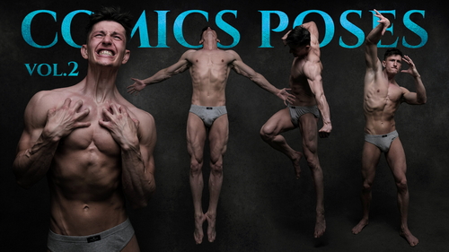 Pose & Reference Pack 800+