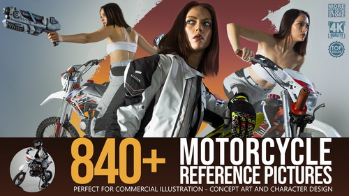 Pose & Reference Pack 800+
