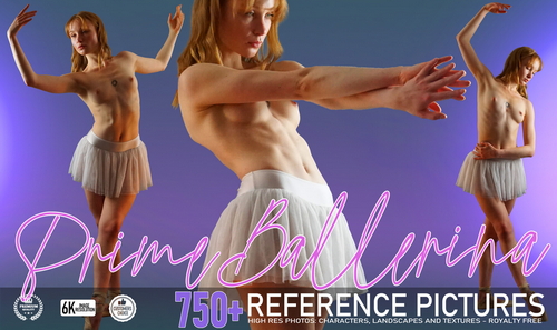 Pose & Reference Pack 800+