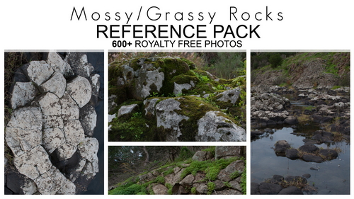 Pose & Reference Pack 800+