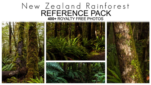 Pose & Reference Pack 800+