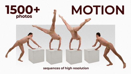 Pose & Reference Pack 800+