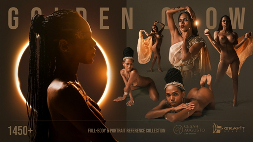 Pose & Reference Pack 800+