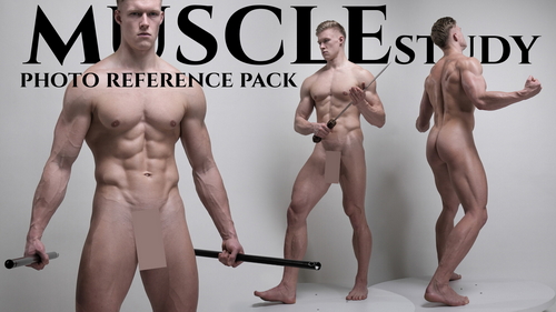 Pose & Reference Pack 800+