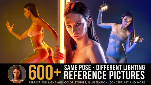 Pose & Reference Pack 800+