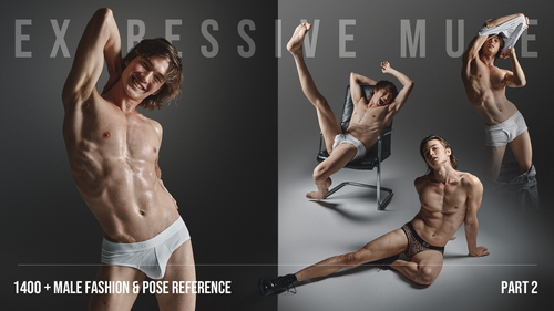 Pose & Reference Pack 800+