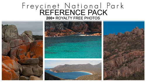 Pose & Reference Pack 800+
