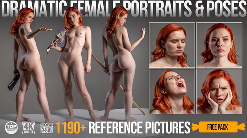 Pose & Reference Pack 800+