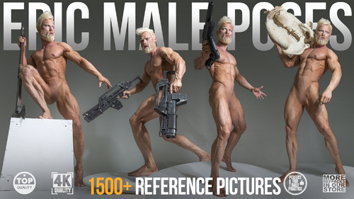 Pose & Reference Pack 800+