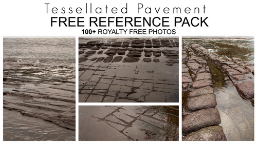 Pose & Reference Pack 800+