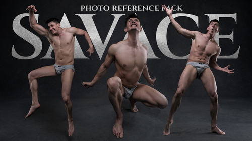 Pose & Reference Pack 800+