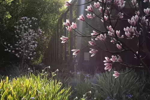 CGTrader 3D Models Available for only Filextras Members CGTrader 3D Models Available for only Filextras Members