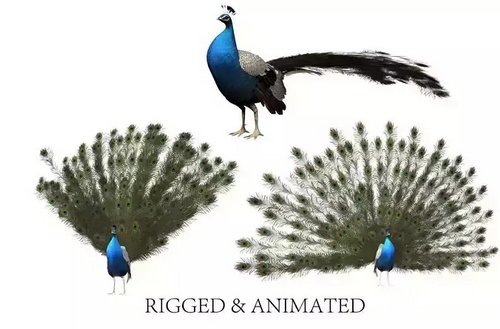 CGTrader 3D Models Available for only Filextras Members CGTrader 3D Models Available for only Filextras Members