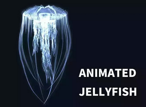 CGTrader 3D Models Available for only Filextras Members CGTrader 3D Models Available for only Filextras Members