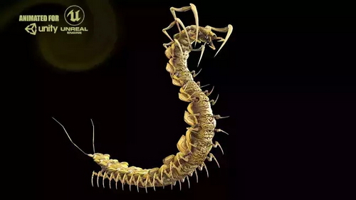 CGTrader 3D Models Available for only Filextras Members - 2 CGTrader 3D Models Available for only Filextras Members - 2