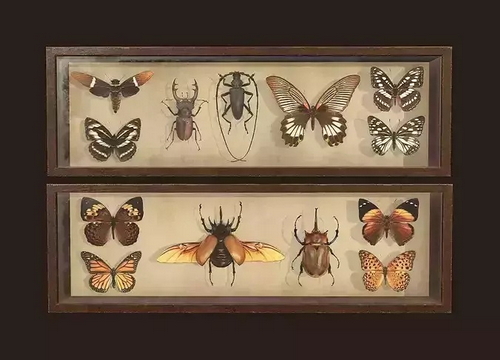 CGTrader 3D Models Available for only Filextras Members - 2 CGTrader 3D Models Available for only Filextras Members - 2