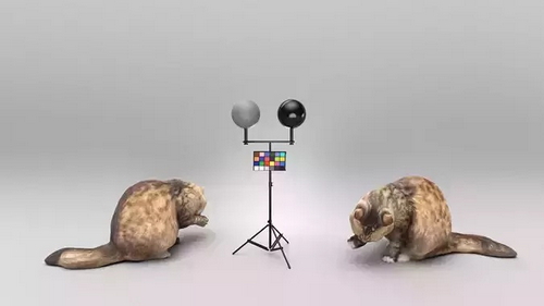 CGTrader 3D Models Available for only Filextras Members - 2 CGTrader 3D Models Available for only Filextras Members - 2