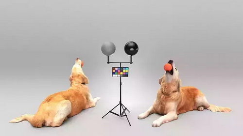 CGTrader 3D Models Available for only Filextras Members - 2 CGTrader 3D Models Available for only Filextras Members - 2