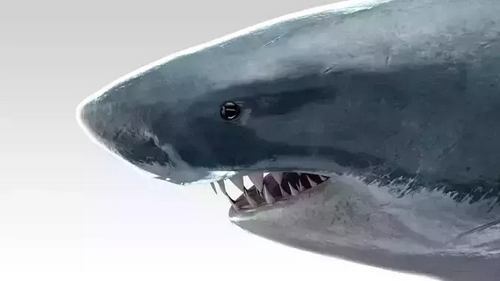 CGTrader 3D Models Available for only Filextras Members CGTrader 3D Models Available for only Filextras Members