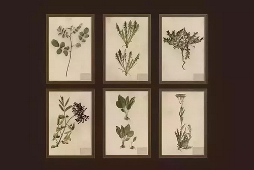 CGTrader 3D Models Available for only Filextras Members - 2 CGTrader 3D Models Available for only Filextras Members - 2