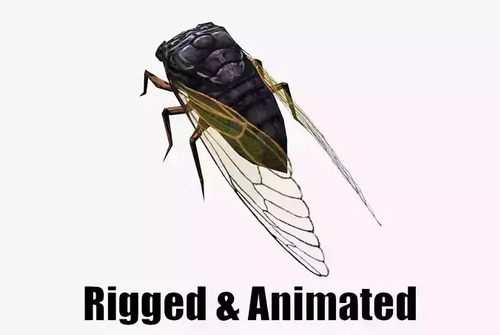 CGTrader 3D Models Available for only Filextras Members - 2 CGTrader 3D Models Available for only Filextras Members - 2