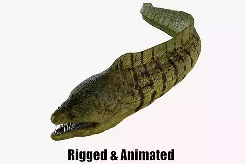 CGTrader 3D Models Available for only Filextras Members - 2 CGTrader 3D Models Available for only Filextras Members - 2