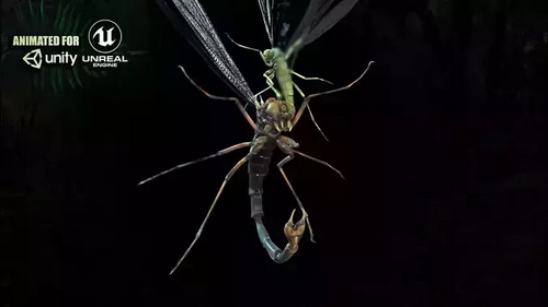 CGTrader 3D Models Available for only Filextras Members CGTrader 3D Models Available for only Filextras Members