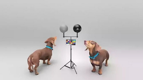 CGTrader 3D Models Available for only Filextras Members CGTrader 3D Models Available for only Filextras Members