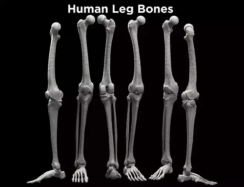 CGTrader 3D Models Available for only Filextras Members - 2 CGTrader 3D Models Available for only Filextras Members - 2