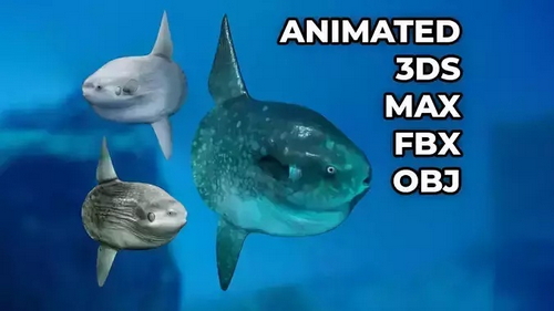 CGTrader 3D Models Available for only Filextras Members - 2 CGTrader 3D Models Available for only Filextras Members - 2